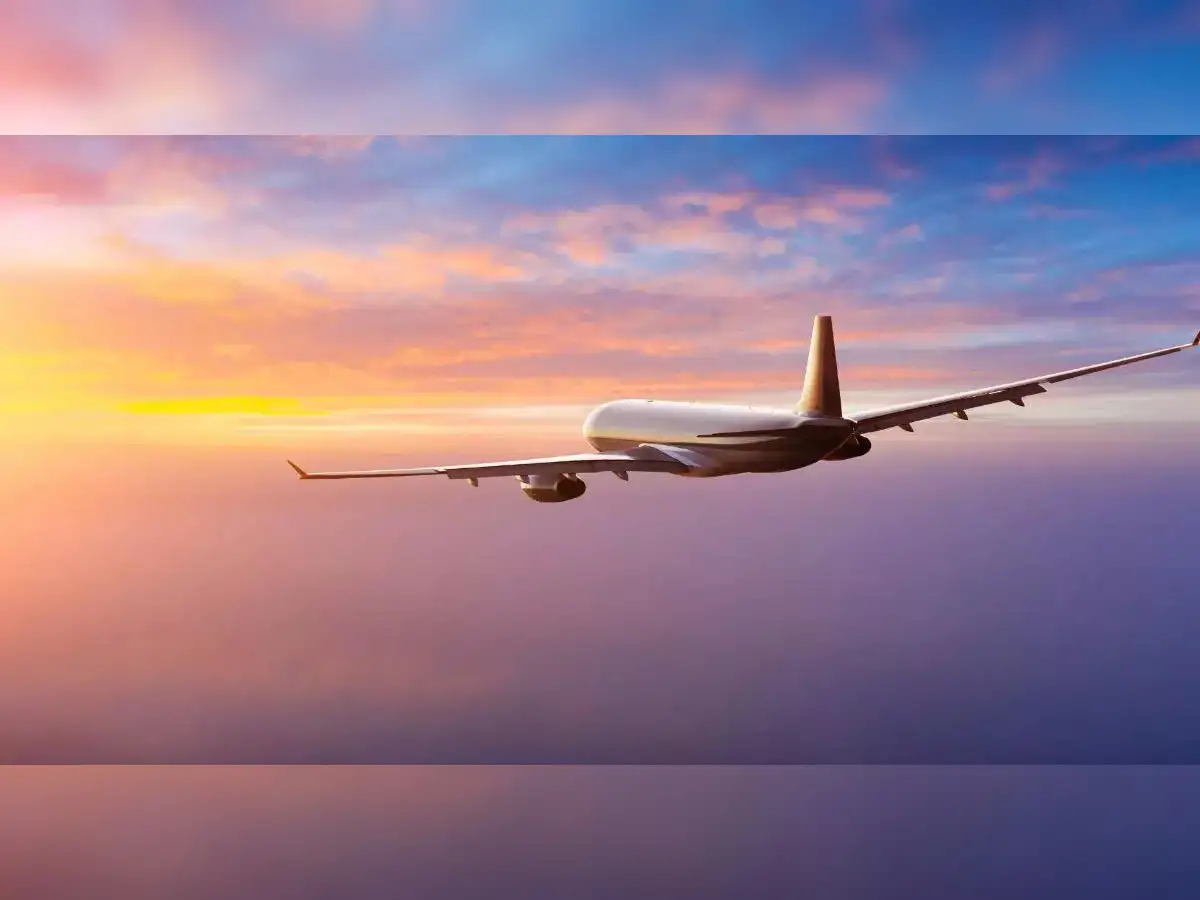 India has 25,001 active pilots: Govt tells parliament