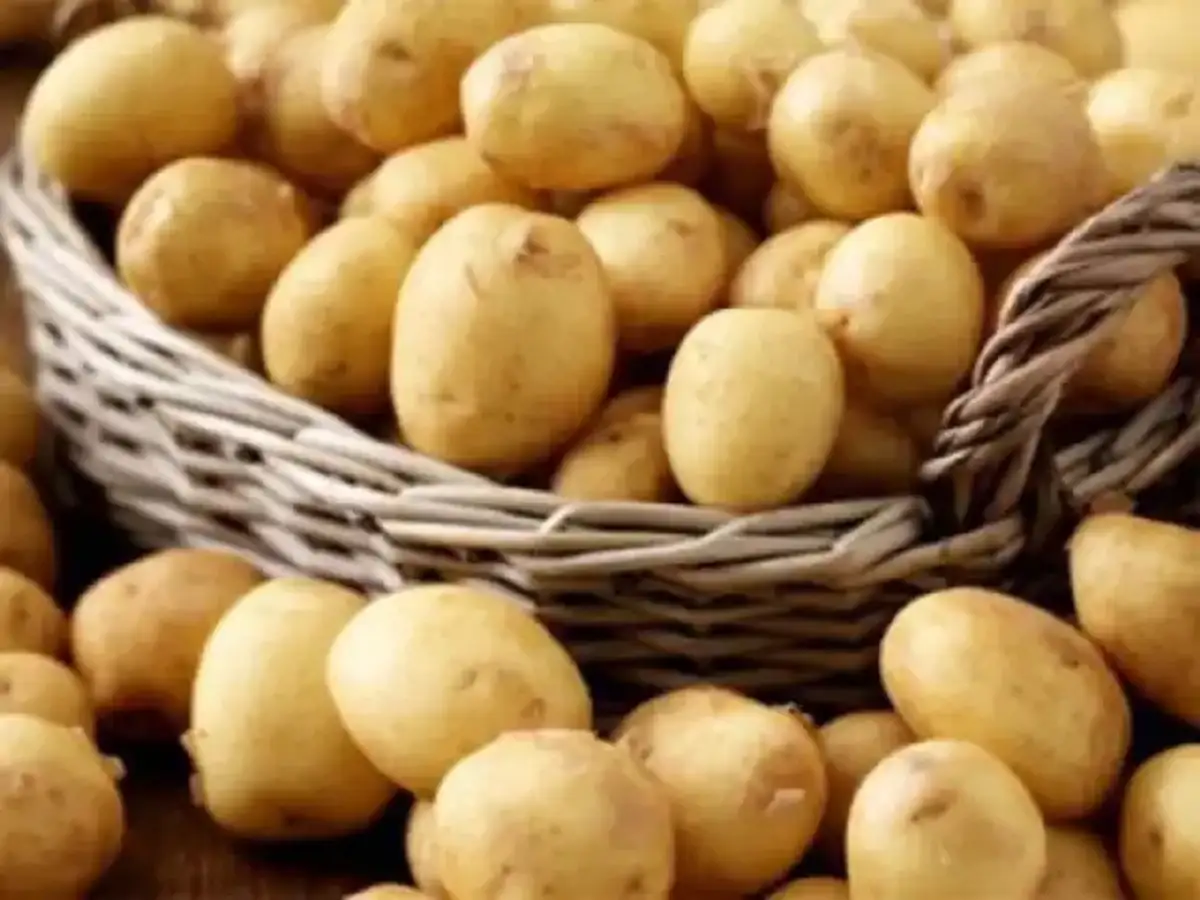 Supply Shortage Rise In Demand Push Potato Prices Up By 40 In Major Cities The Economic Times Or book accommodation, which is. demand push potato prices