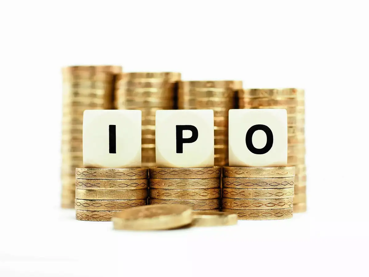 Two Chinese chip firms plan $1.7 billion IPOs, bet US export curbs to spur growth - The Economic Times
