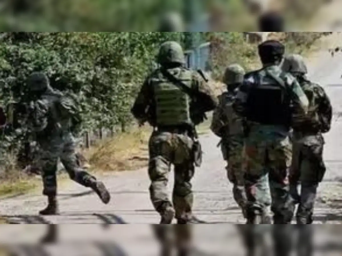 Three terrorists killed in two encounters in North Kashmir - The Economic  Times