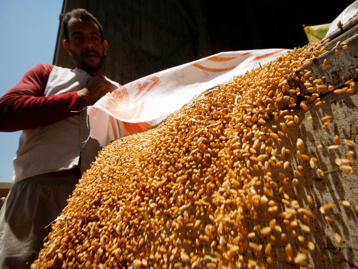 FCI sells 5.08 lakh tn wheat to bulk consumers in 3rd round of e-auction -  The Economic Times