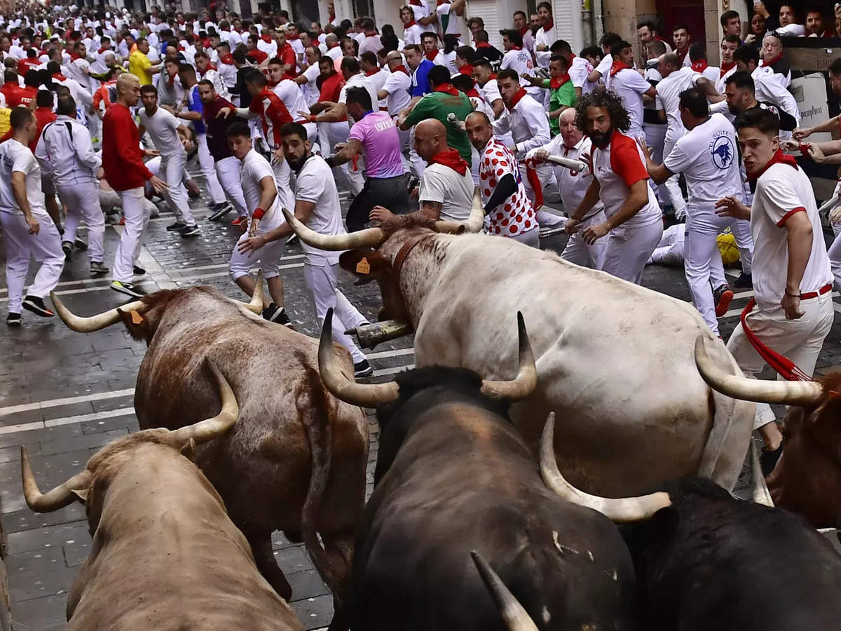 bull run: The famed bull-run festival of Spain is back this year after a  pandemic-induced break of two years - The Economic Times