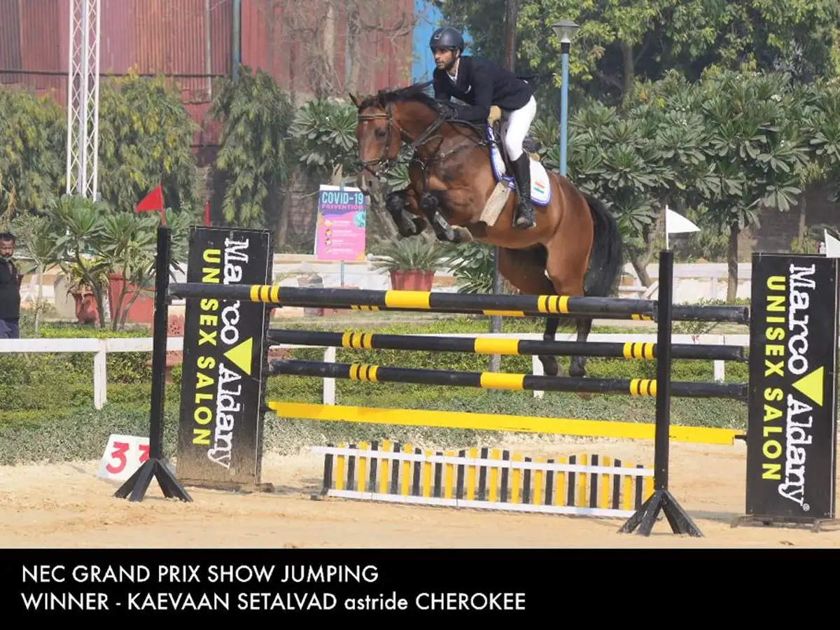 National Equestrian Championship 2021 image