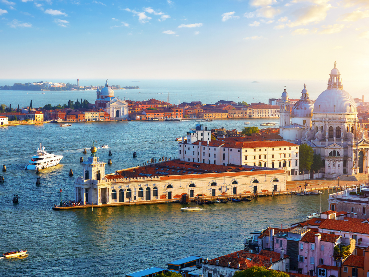 Market Crush: Vegetables in Venice