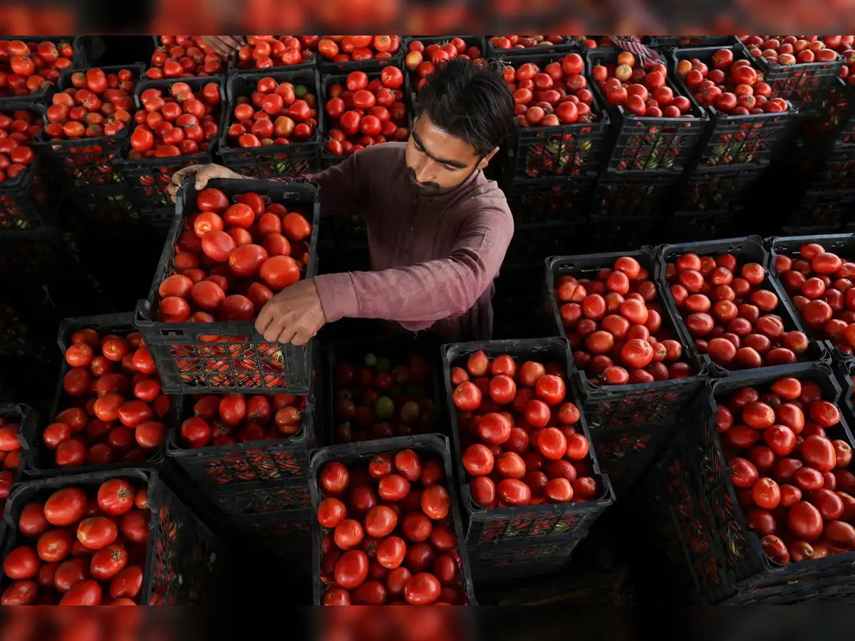Tomato prices soar 50% in 15 days due to excess October rains - The  Economic Times