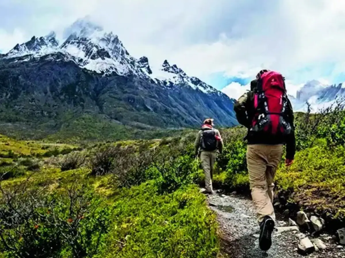 The perfect podcast for your next road trip to the mountains