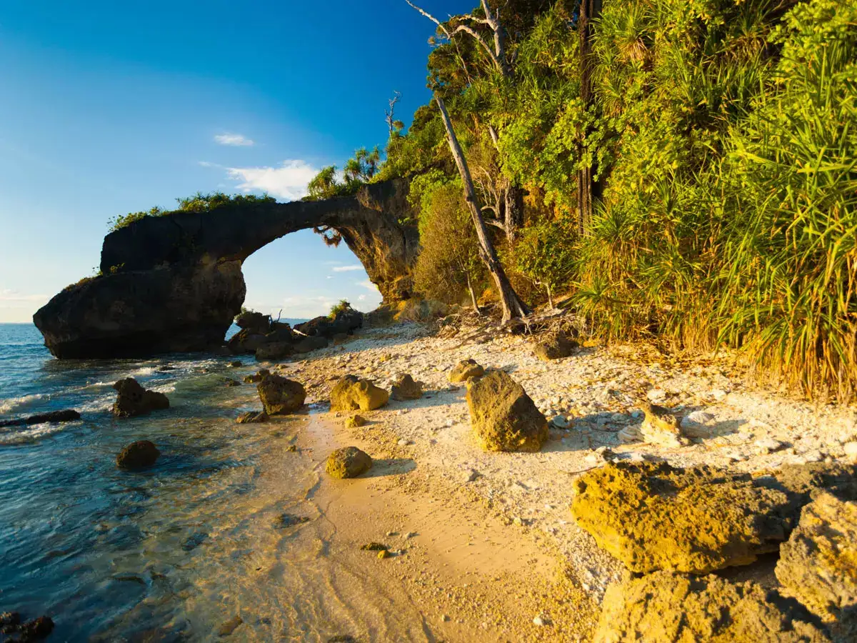 great nicobar project: Great Nicobar mega project gets environmental nod - The Economic Times