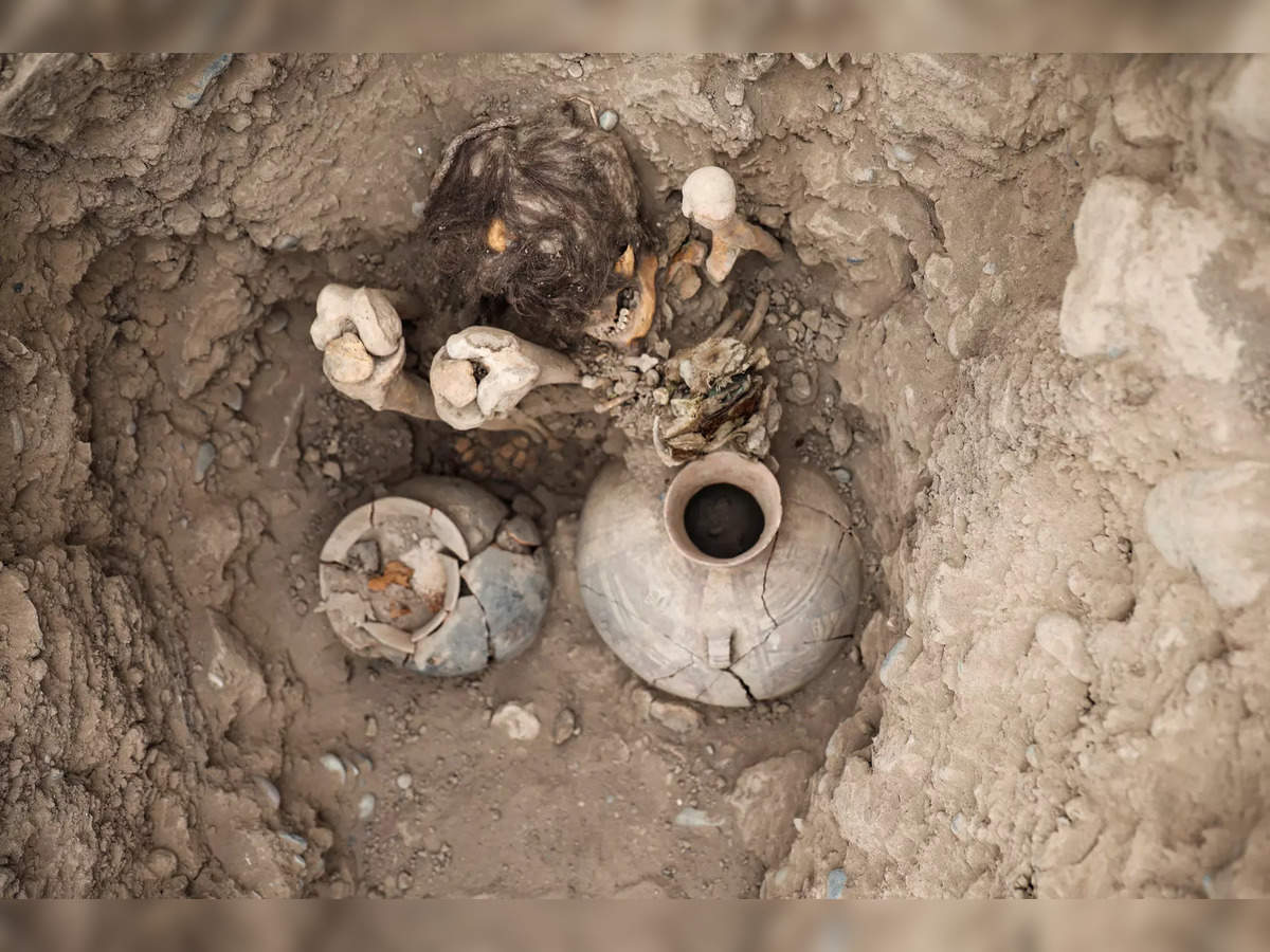 Mexico's Alien Bodies Analysed, Eggs Found