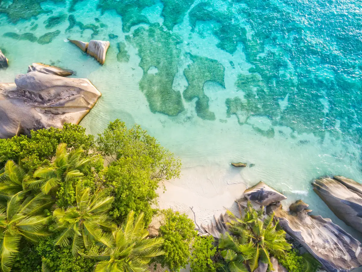 Indians flock to offbeat destinations: Seychelles and Vietnam see strongest rise