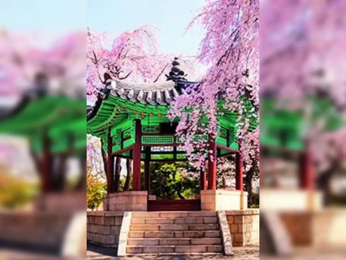 Seoul mates, India can swipe right