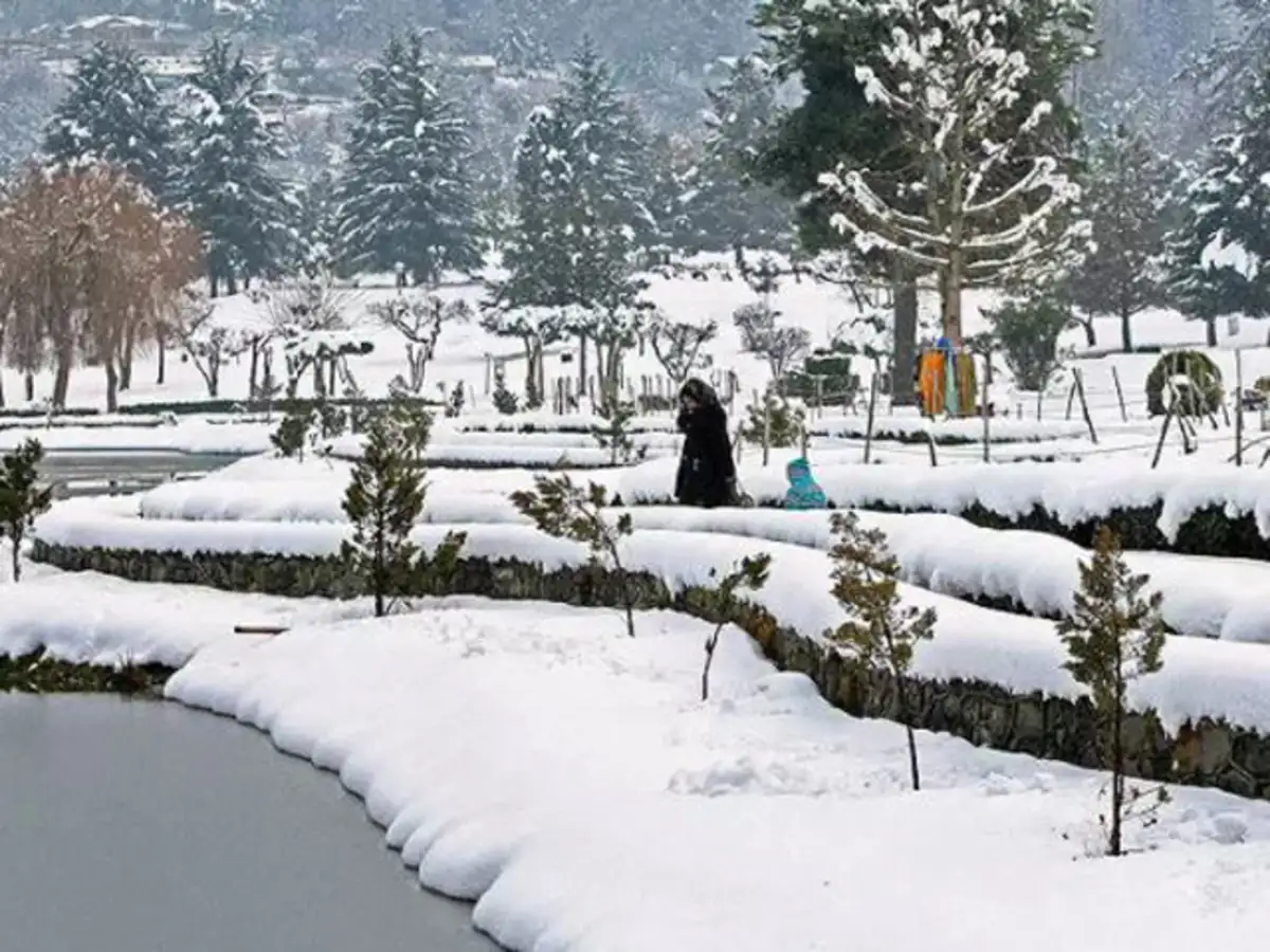 Srinagar: Coldest November night in decade in Srinagar - The Economic Times