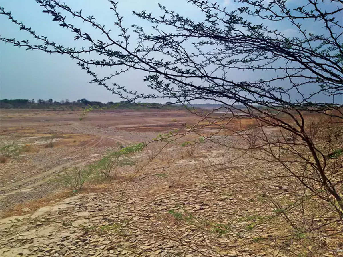 karnataka government set to map out pyki land records