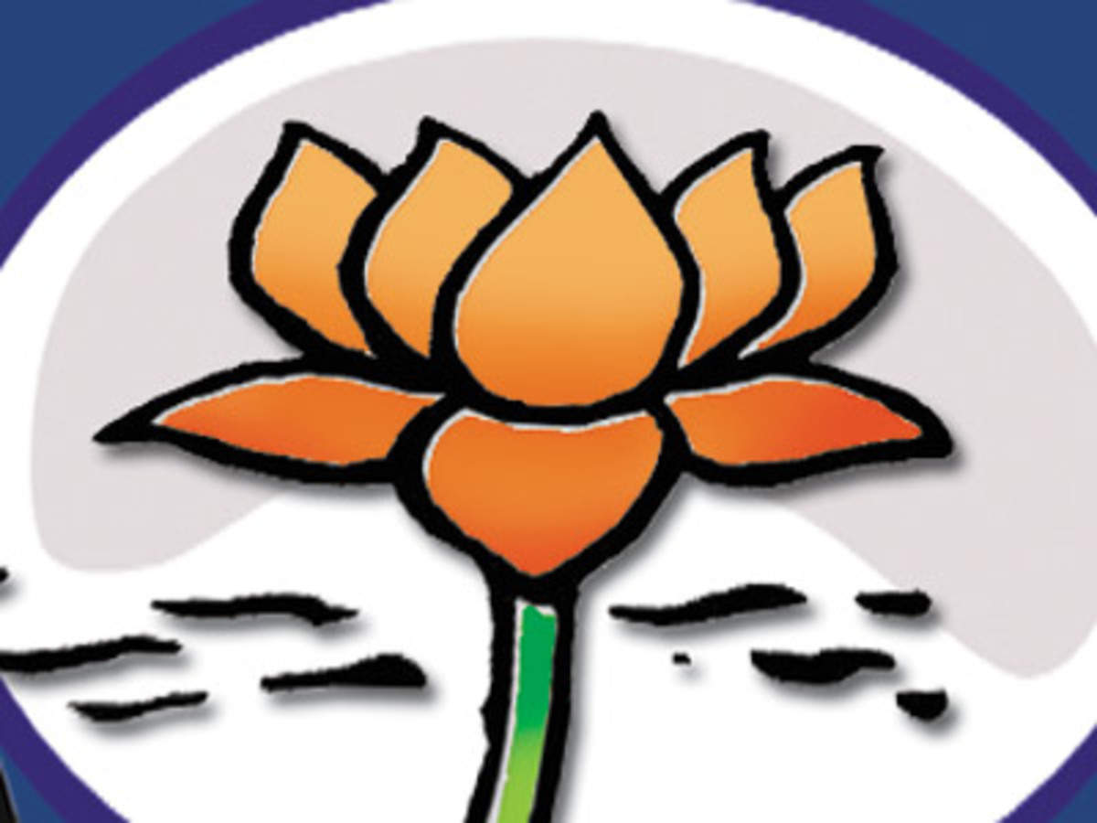 Indian NATIONAL Political Party Symbol - BJP - Bhartiya Janta Party  -INDIA(2949) | eBay