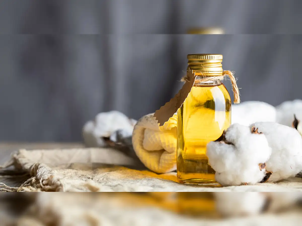 Update more than 139 safflower oil cake kidsdream.edu.vn