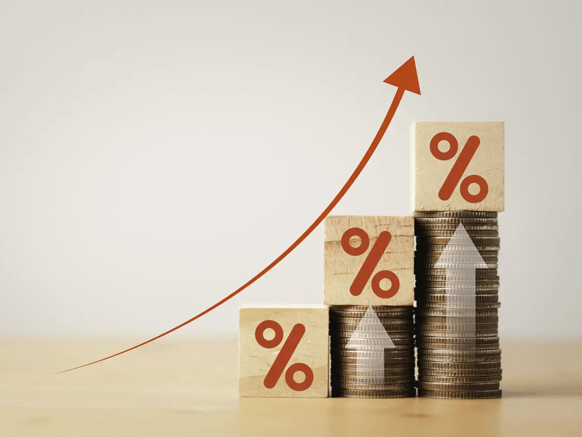 Don't fear the volatility: How to choose the right small-cap stock for ...