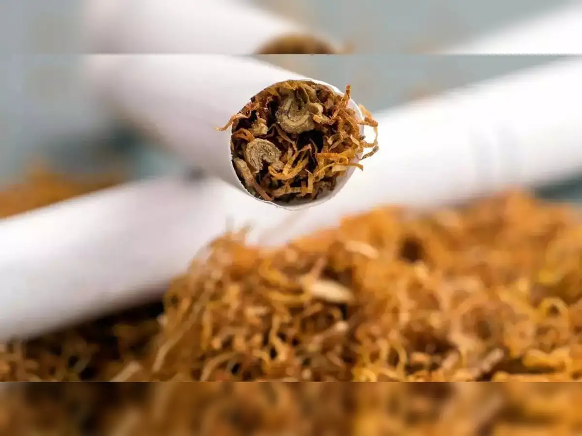 tobacco price in andhra pradesh today tobacco prices: Surge in tobacco prices benefits Andhra Pradesh growers