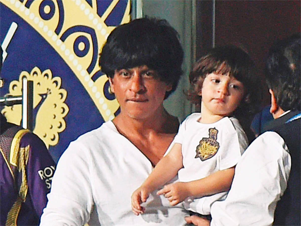 Shah Rukh Gifts A Private Tree House To Son AbRam; It's Every Kid's Dream  Come True [See Pics]