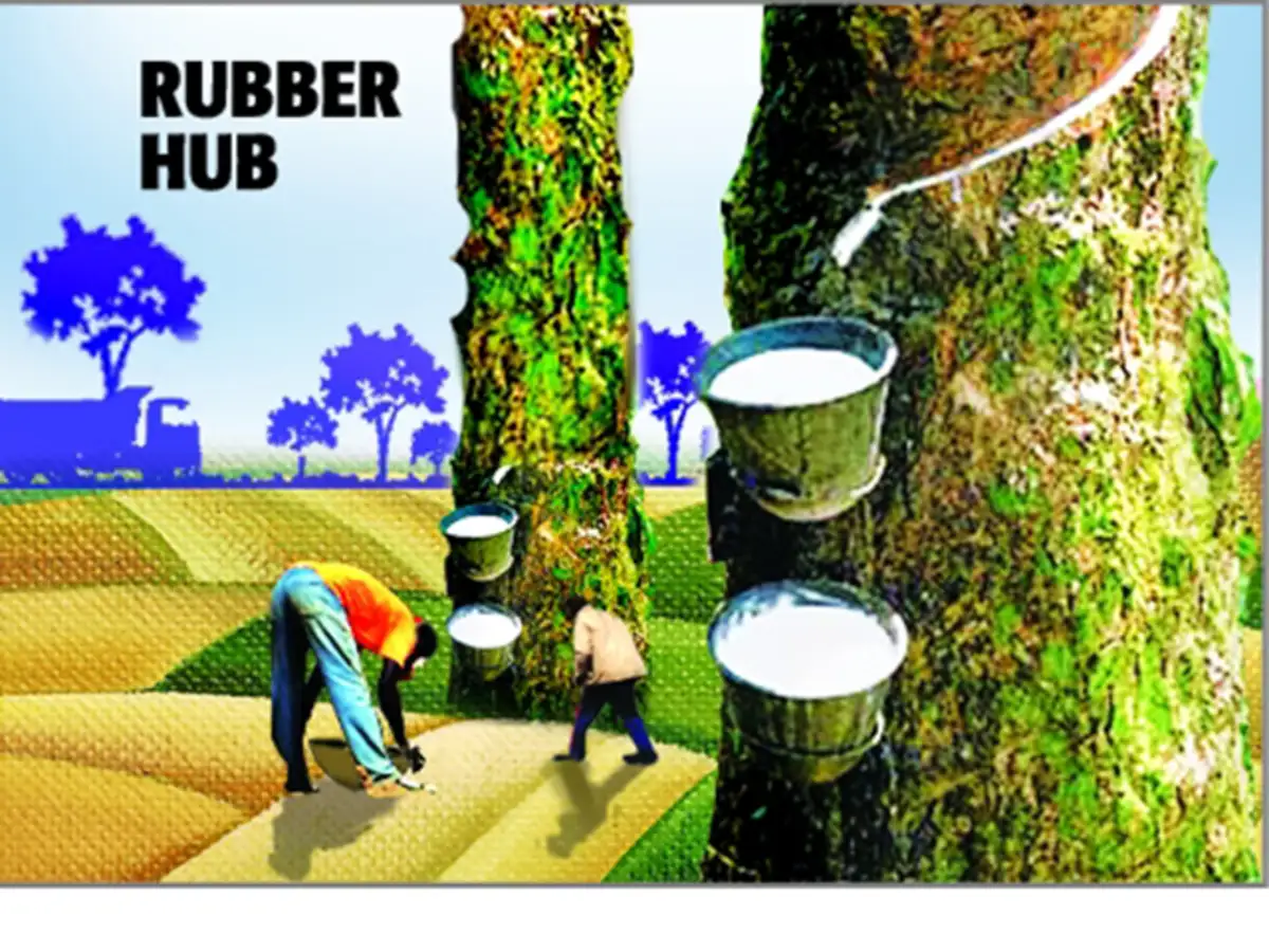 rubber consumption
