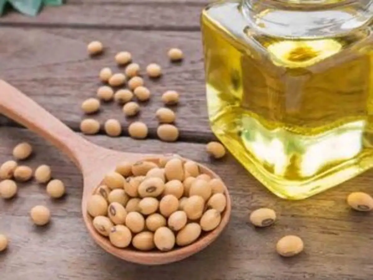 Soybean Prices Should Traders Avoid Soybean As Prices Go Through The Roof The Economic Times