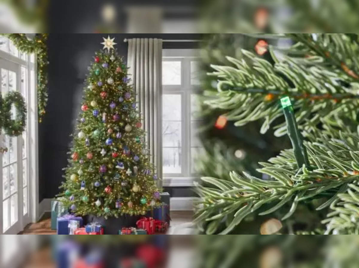 tiktok: TikToks T27 Christmas Tree: A viral sensation, but where can you  find it? - The Economic Times