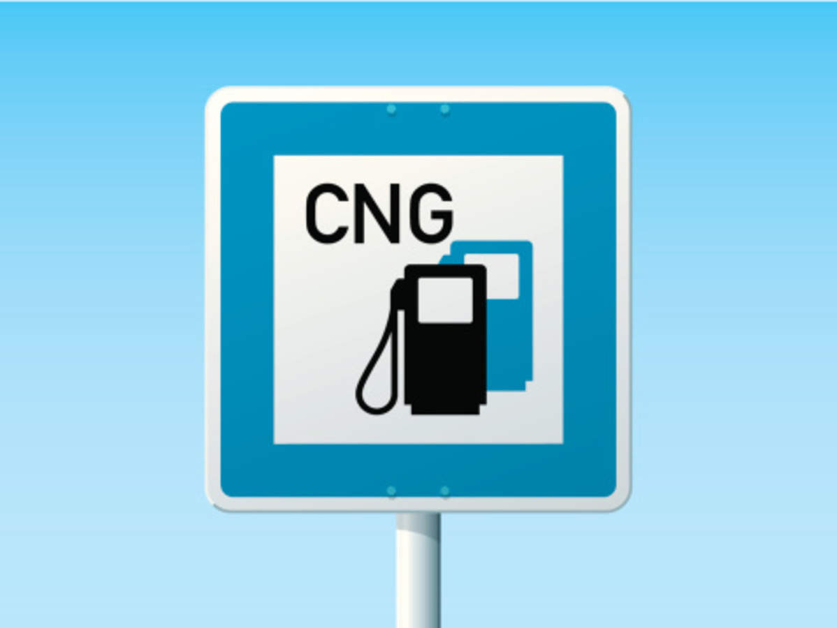 Avantika Gas Ltd to set up 6 more CNG stations in MP The