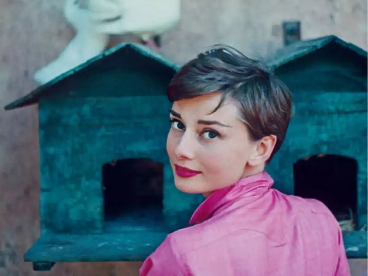 Quote of the day by Audrey Hepburn: 'Good things aren't supposed to just  fall into your lap. God is very generous, but..'; what we can learn about  importance of hard work from
