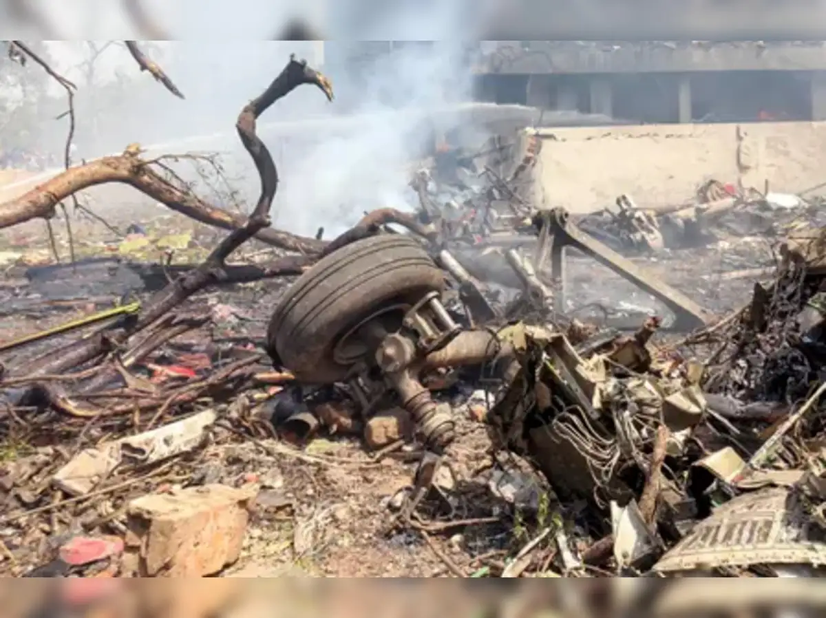 Air India plane crash: London-bound flight had 169 Indian nationals and 53 British nationals on board - The Economic Times