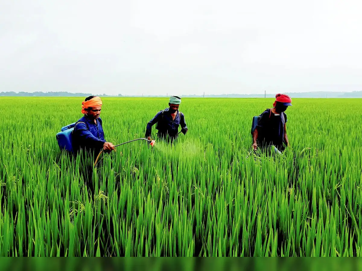 PM's Rs 35,440 crore farm push to seed self-reliance, nutrition: 100 districts to get focused agri boost under new schemes