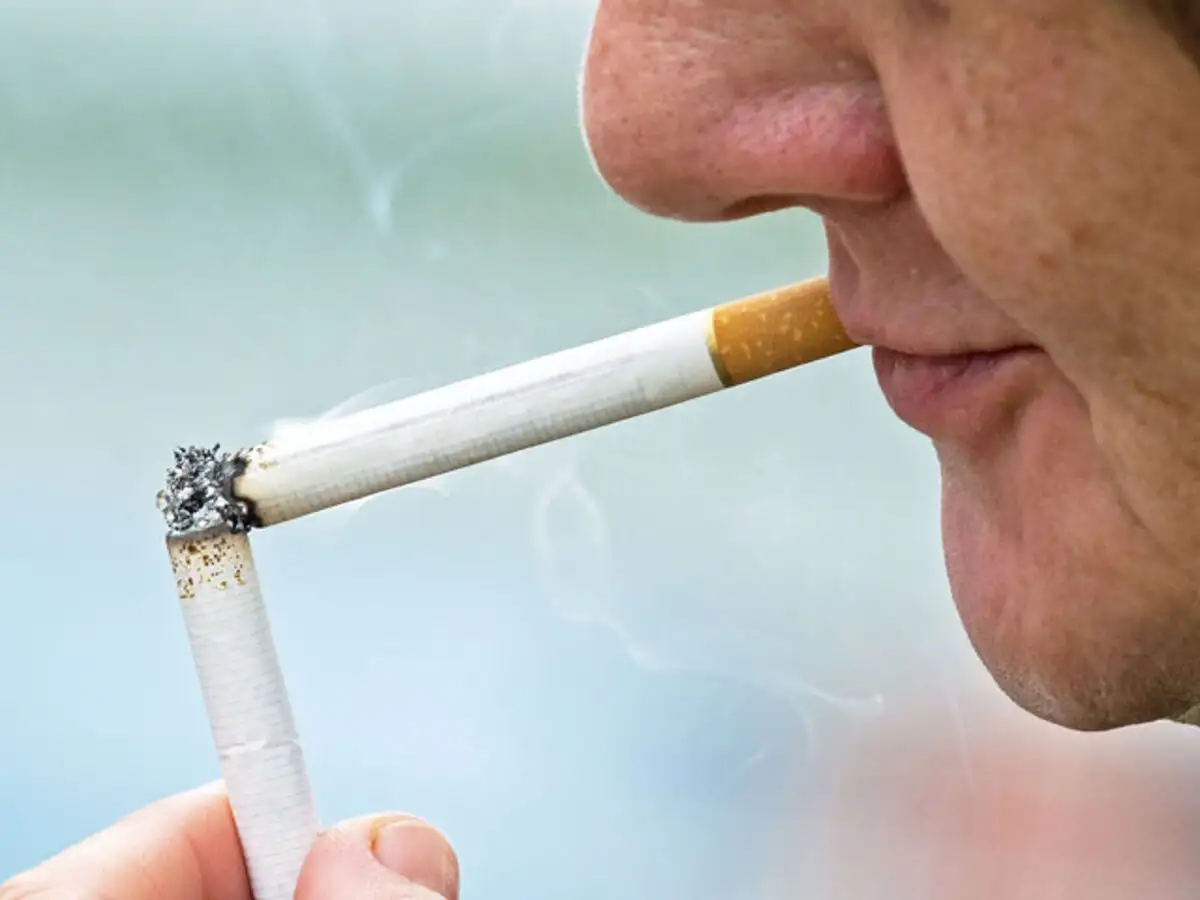cigarette gum disease Smoking Harms Gums and Increases Infection Risk