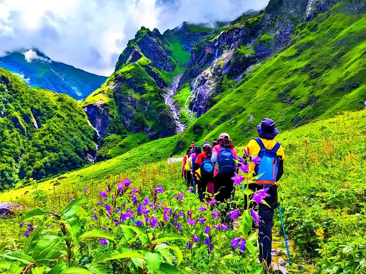 valley of flower 