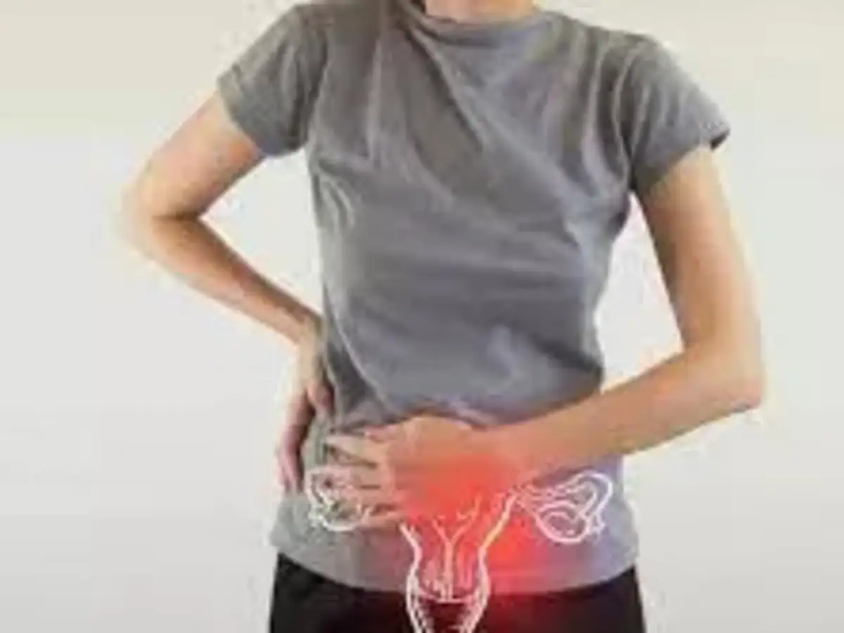 Endometriosis Hilary Mantel All you