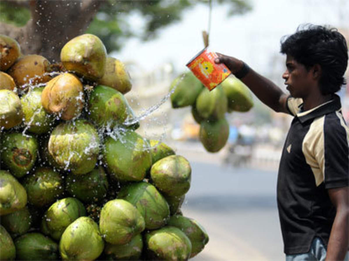 Coconut Producer Pakistan Willing To Shell Out Twice The Price For Indian Coconuts The Economic Times