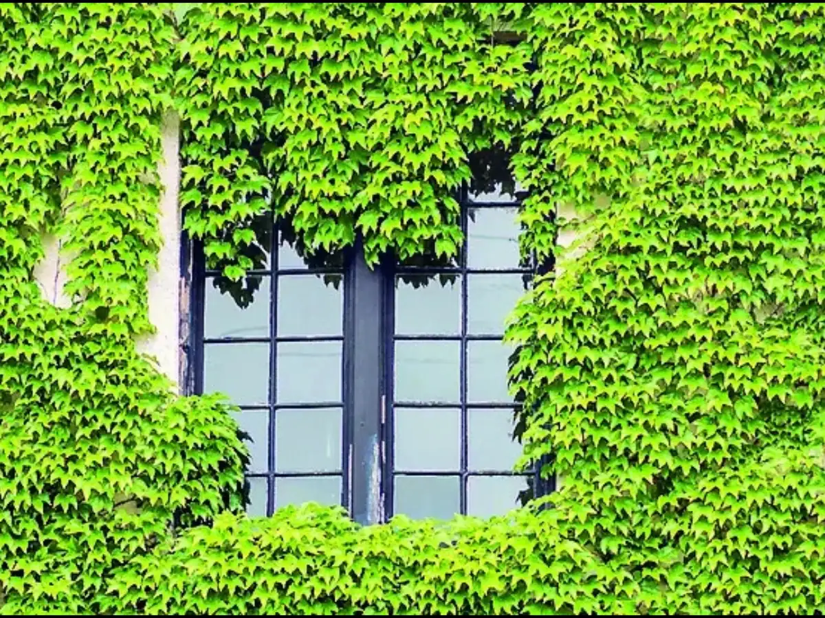 India’s $1 trillion import dependence makes green transition a strategic necessity
