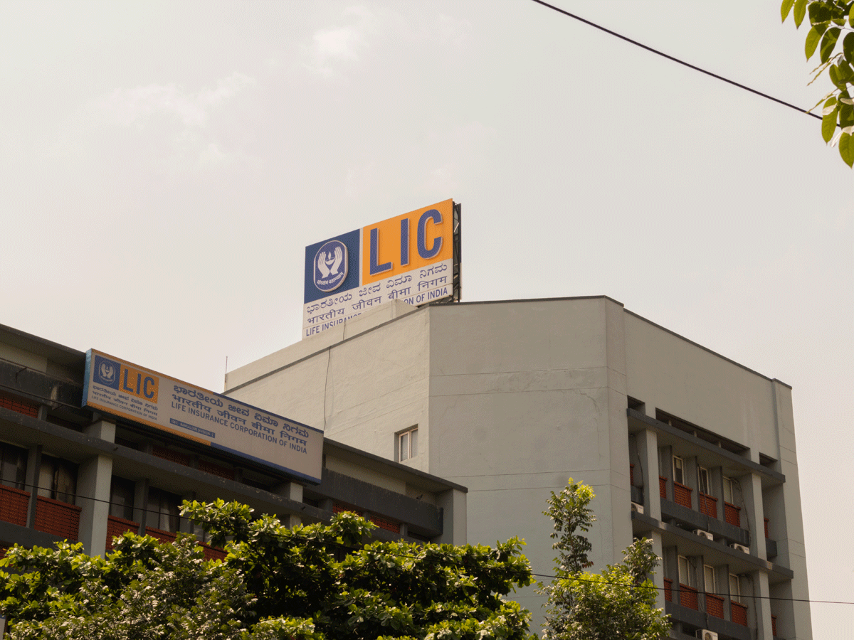 LIC: This institutional player is making money with both hands in equity - The Economic Times