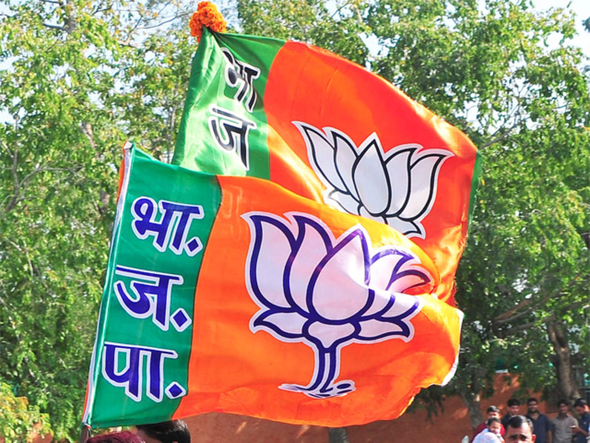 BJP Yuva Morcha set to popularise Centre's schemes: Himachal president :  The Tribune India