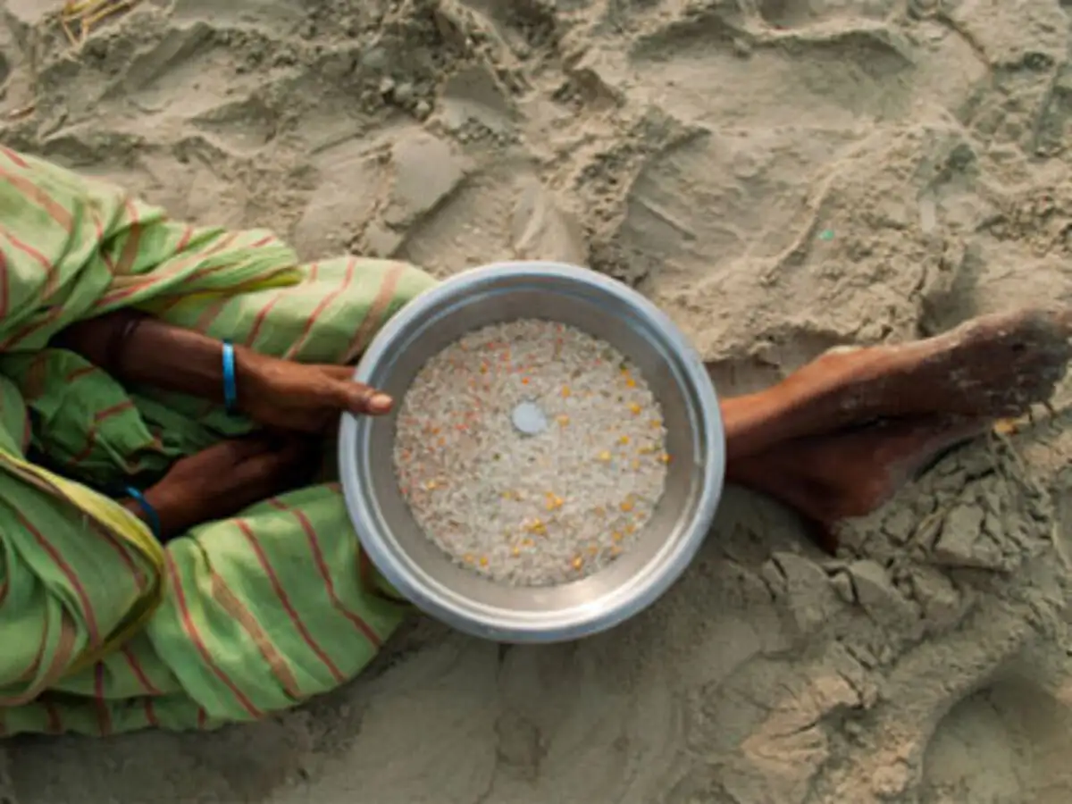Why the Food Security Bill is neither populist nor unaffordable - The ...