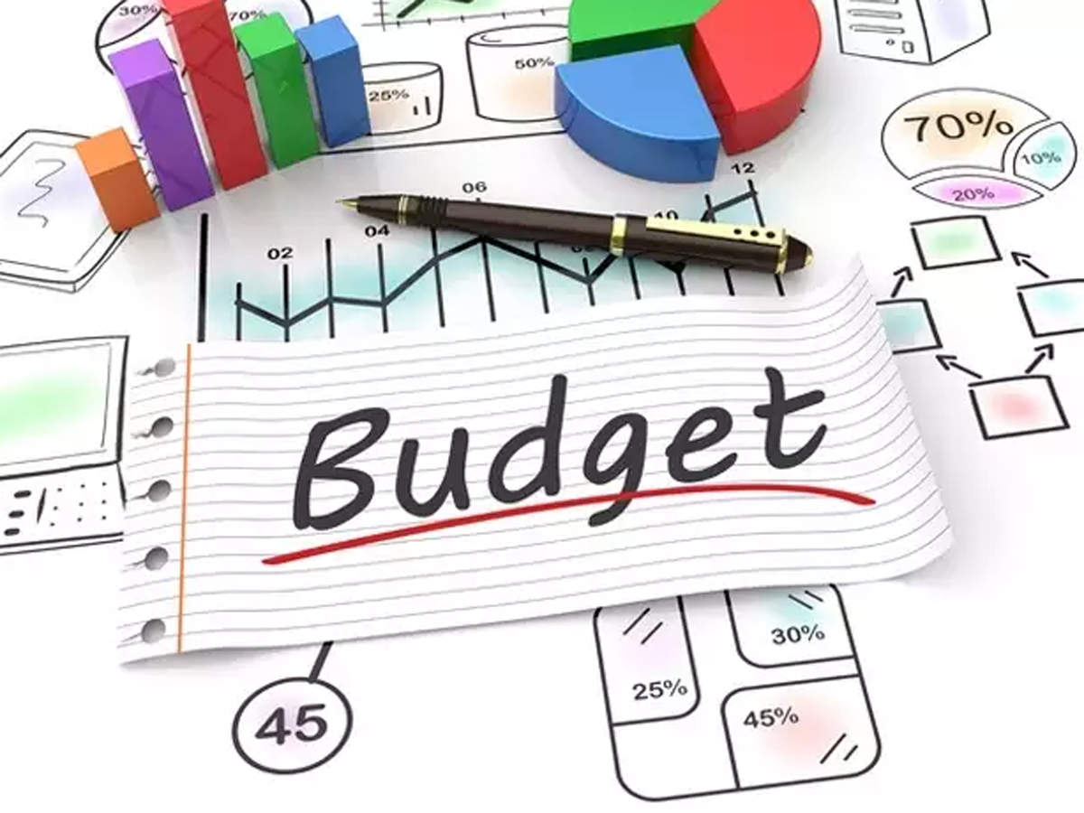 Importance of Budget: Why is it important for the government to have a budget?