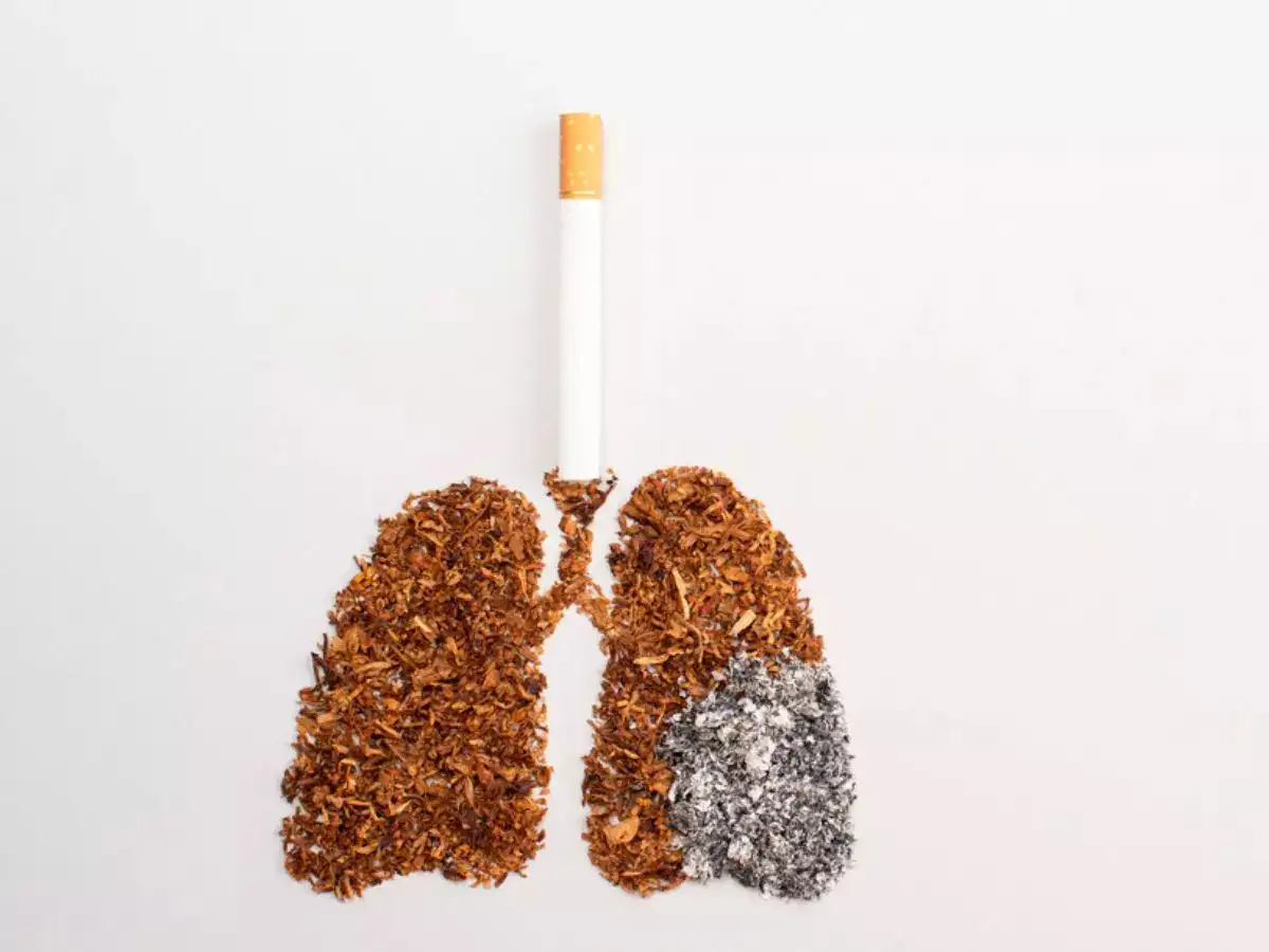 tobacco purpose Smoking | Definition, Types, Effects, History, & Facts vegan and petroleum free Tesonway Smoking Set - Resin