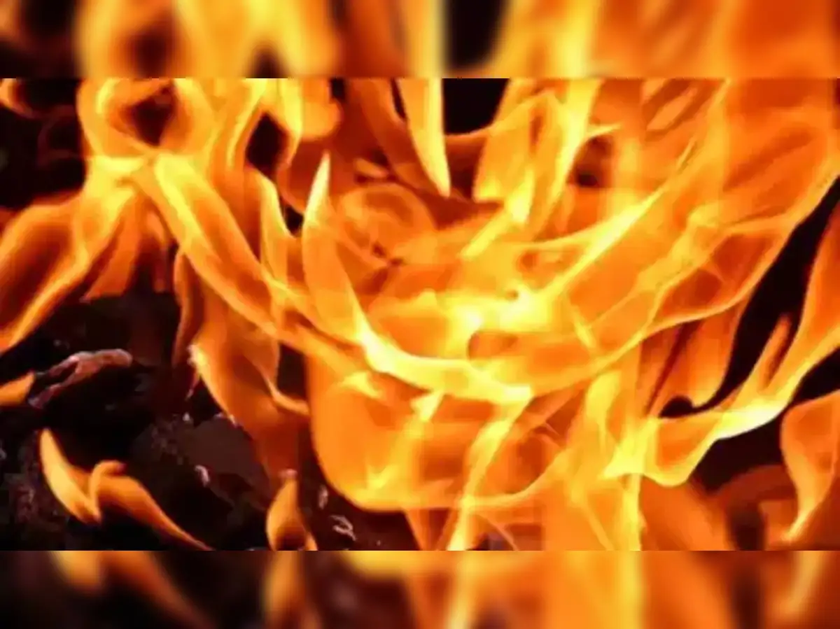 Delhi godown fire: Fire breaks out in north Delhi godown - The Economic  Times