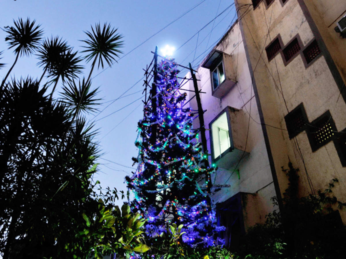 christmas tree a 65 feet tall tree over 10 000 lights and a last wish mumbai s christmas story the economic times christmas tree a 65 feet tall tree