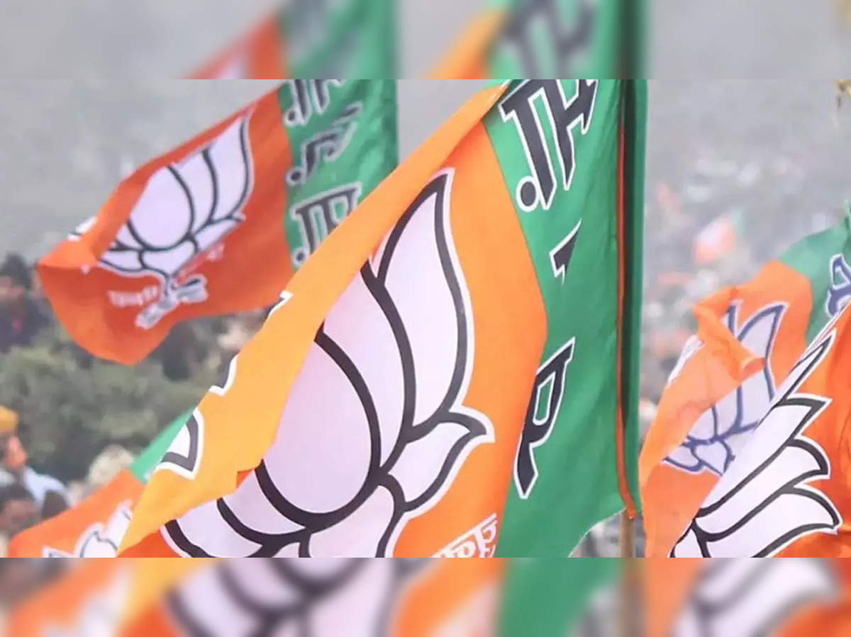 Congress BJP Sticker, For Pronominal at Rs 3/piece in Bhopal | ID:  17585691230
