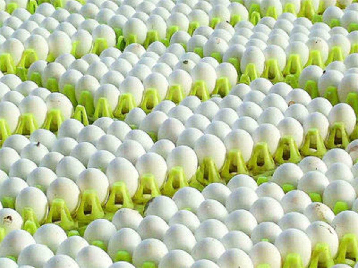 Tamil Nadu egg exports double on back of weak rupee, strong demand - The  Economic Times