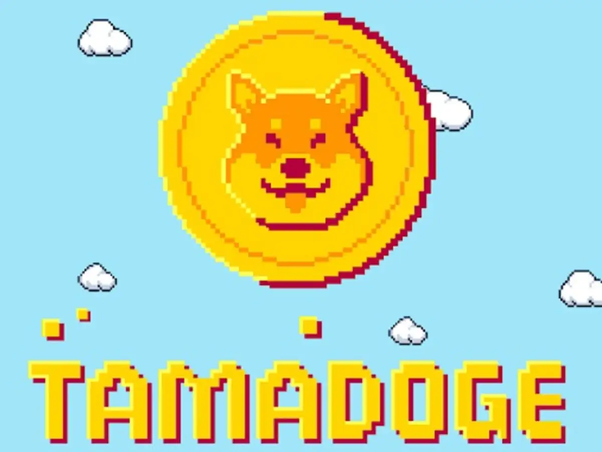 3 best dog cryptocurrencies not to miss in 2022 - The Economic Times