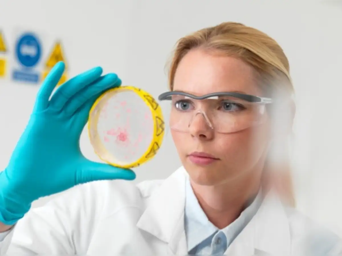 Clusters: Another look at bacterial bonds as microbial clusters are ...