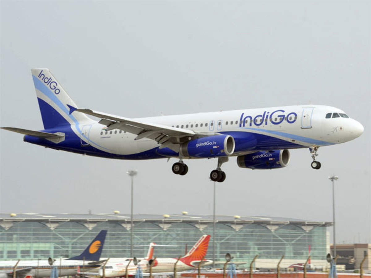 how does indigo continue to prosper despite troubled times? - the economic times