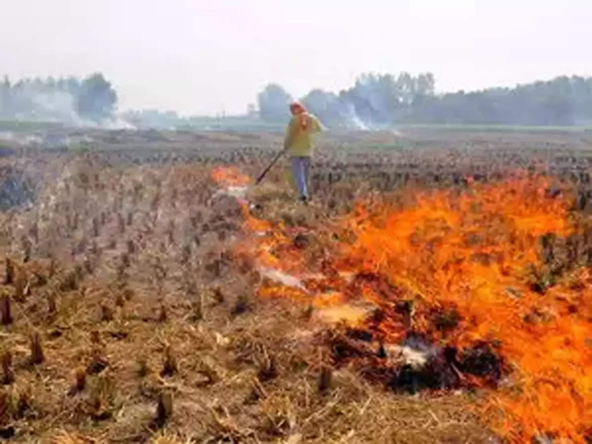 North India stares at pall of smoke as stubble burning kicks off - The  Economic Times