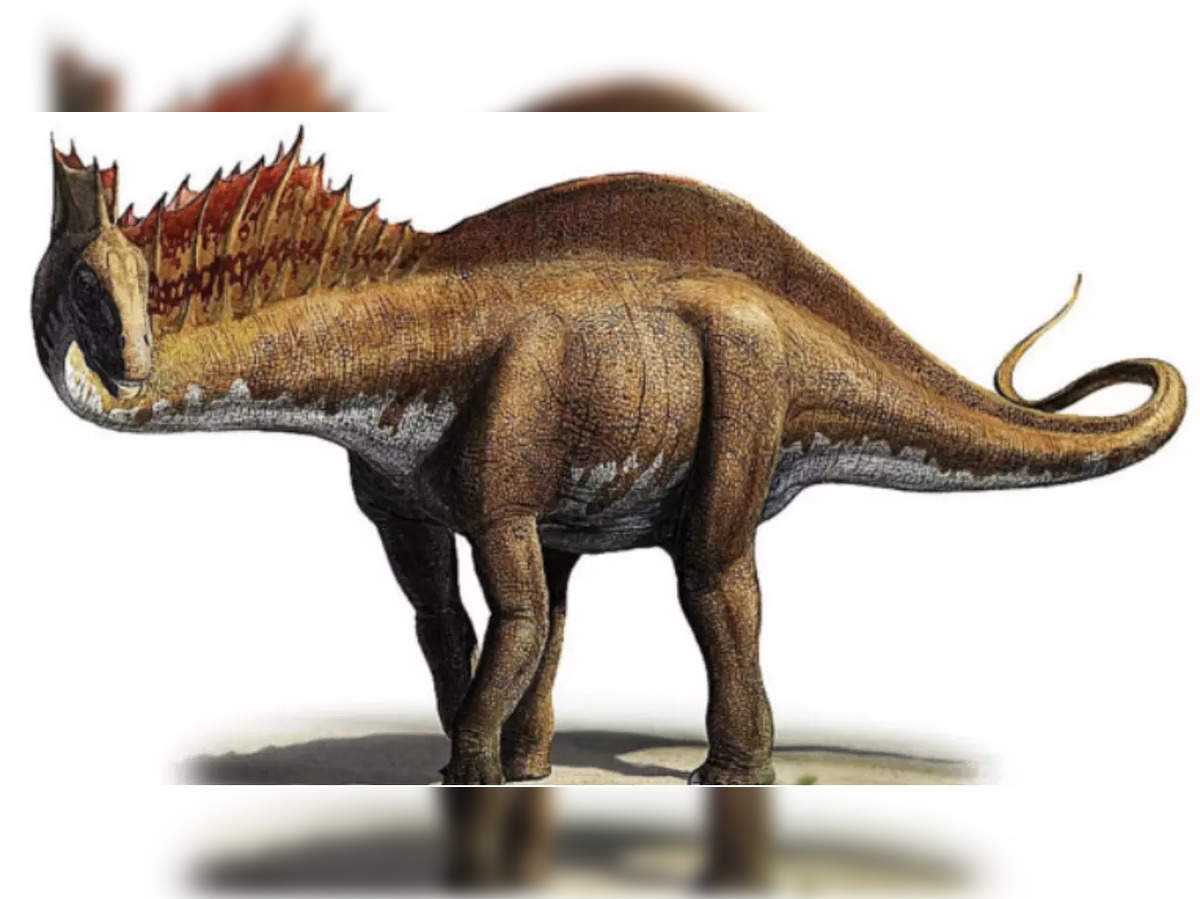 Researchers Identify Dinosaur Species 5 Times Larger Than