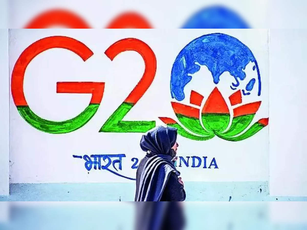 Visakhapatnam: G20 healthcare pre-meetings unite global leaders