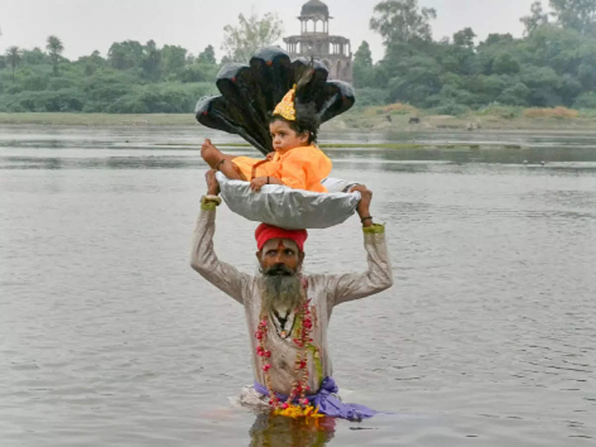 Devotees celebrate Krishna Janmashtami across country - The Economic Times