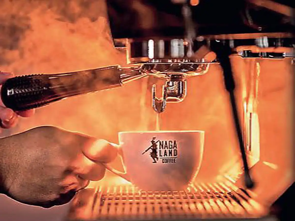 How Nagaland has made it to the coffee map, cultivating specialty beans in the shade of its high-altitude forests - The Economic Times